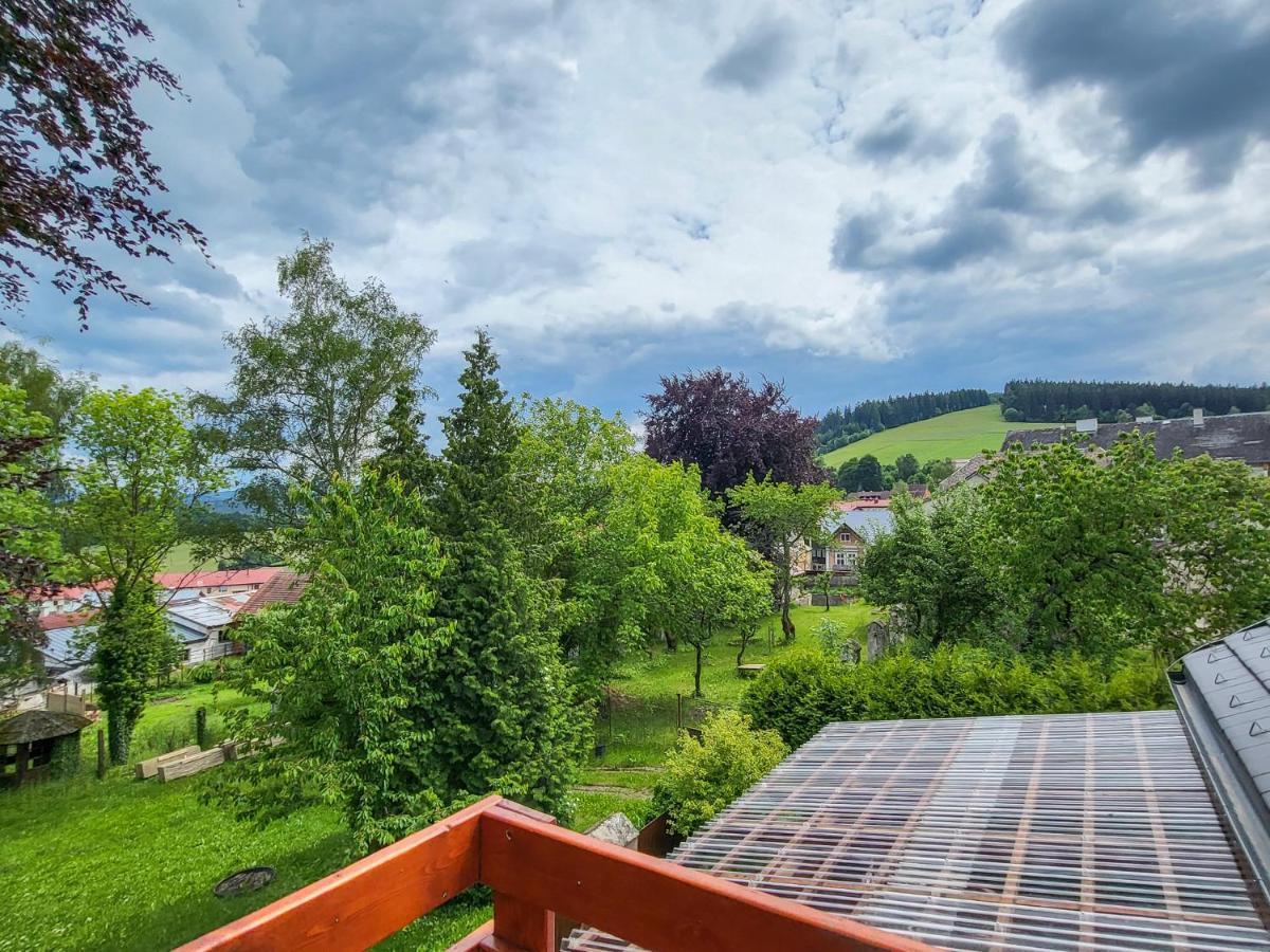 Apartmany U Kolacku Hartmanice  Экстерьер фото