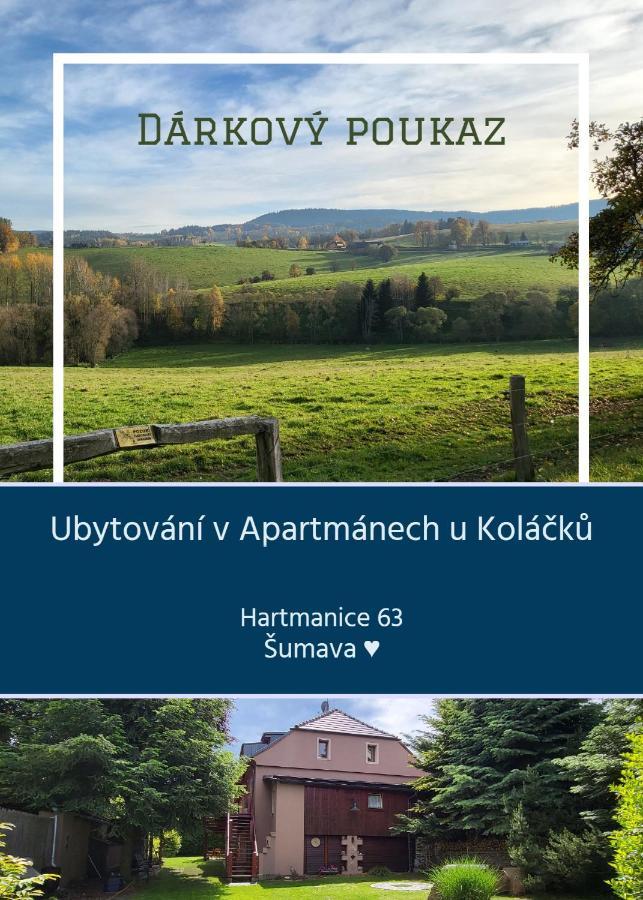 Apartmany U Kolacku Hartmanice  Экстерьер фото